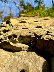 Close-up of a rugged limestone rock face