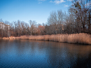 Veľký Draždiak is a lake and natural swimming pool in Petržalka, Bratislava. As a natural summer swimming pool, it was created after gravel mining and deepening of the original water surface.