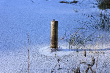 Holzpfosten steht in einem Teich der gefroren ist