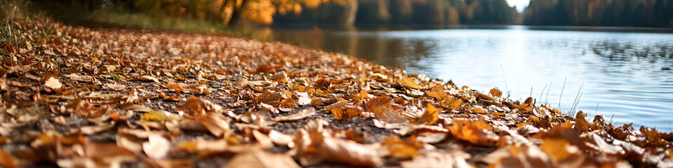 Fototapeta premium Autumn Leaves on Path by Lake