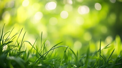 Capturing soft bokeh of bright green grass for artistic additions nature photography outdoor close-up bokeh effect