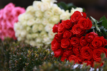 Bouquet of Roses