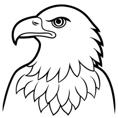 bald eagle head