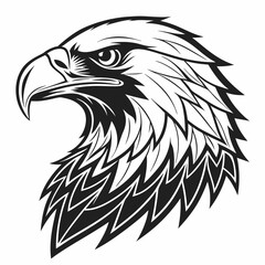 eagle head vector illustration