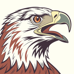 Fototapeta premium american bald eagle