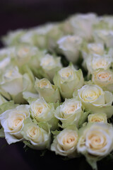 Roses bouquet