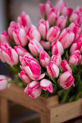 Obraz premium Tulips