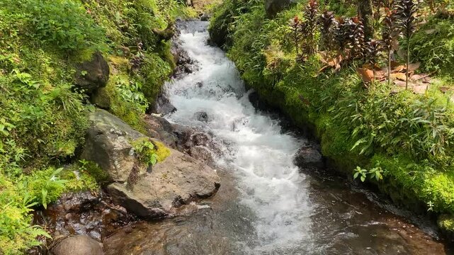 Majestic Grojogan Ratu waterfall in Indonesia, captured on February 10, 2025. The cascading water flows through lush tropical greenery, creating a serene and breathtaking natural scene