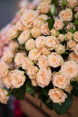 Roses bouquet