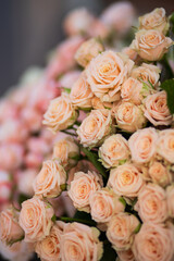 Roses bouquet