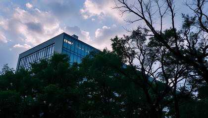 Obraz premium Environment. Modern building and trees, double exposure, dramatic atmosphere. with white shades