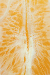 Detailed close-up photo of juicy orange slices. Citrus fruit macro photo
