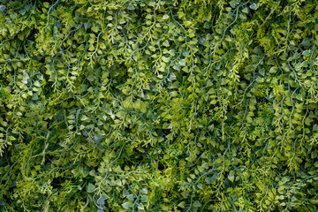 A plastic green leaf pattern background