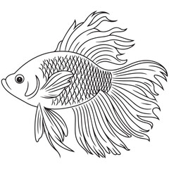 Fototapeta premium Betta fish or Siamese fighter fish in simple hand drawn line art style. Decorative goldfish veiltail. Illustration isolated on white background. Tattoo art design, coloring book page