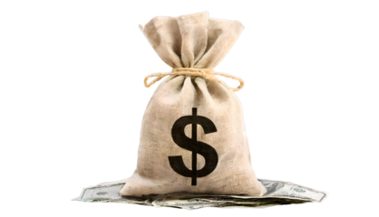 bag of money isolated on transparent background business