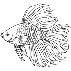 Betta fish or Siamese fighter fish in simple hand drawn line art style. Decorative goldfish veiltail. Illustration isolated on white background. Tattoo art design, coloring book page