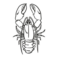 Sea black line illustration of lobster. Italian Dolce vita summer element in doodle sketch style. Amalfi drawing for t-shirt print, invitation, card, design.	