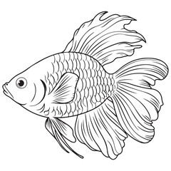 Betta fish or Siamese fighter fish in simple hand drawn line art style. Decorative goldfish veiltail. Illustration isolated on white background. Tattoo art design, coloring book page