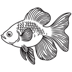 Betta fish or Siamese fighter fish in simple hand drawn line art style. Decorative goldfish veiltail. Illustration isolated on white background. Tattoo art design, coloring book page