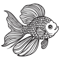 Fototapeta premium Betta fish or Siamese fighter fish in simple hand drawn line art style. Decorative goldfish veiltail. Illustration isolated on white background. Tattoo art design, coloring book page