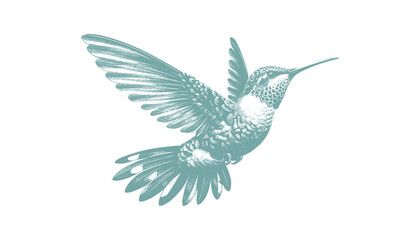 hummingbird vector | bird vector | hummingbird illustration | hummingbird silhouette | hummingbird tattoo | hummingbird engraving | hummingbird drawing