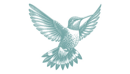 hummingbird vector | bird vector | hummingbird illustration | hummingbird silhouette | hummingbird tattoo | hummingbird engraving | hummingbird drawing