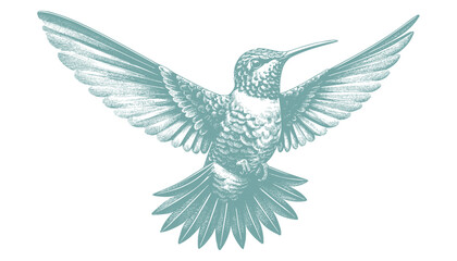 hummingbird vector | bird vector | hummingbird illustration | hummingbird silhouette | hummingbird tattoo | hummingbird engraving | hummingbird drawing