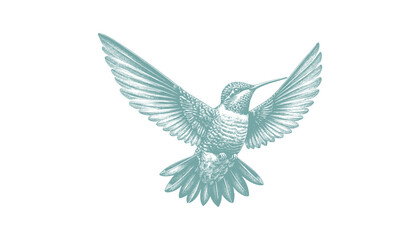hummingbird vector | bird vector | hummingbird illustration | hummingbird silhouette | hummingbird tattoo | hummingbird engraving | hummingbird drawing