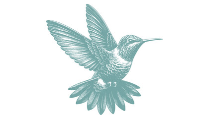 hummingbird vector | bird vector | hummingbird illustration | hummingbird silhouette | hummingbird tattoo | hummingbird engraving | hummingbird drawing