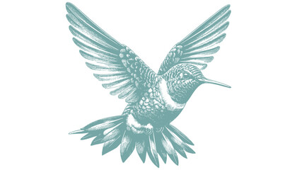 hummingbird vector | bird vector | hummingbird illustration | hummingbird silhouette | hummingbird tattoo | hummingbird engraving | hummingbird drawing