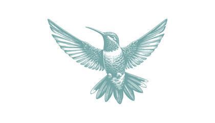 hummingbird vector | bird vector | hummingbird illustration | hummingbird silhouette | hummingbird tattoo | hummingbird engraving | hummingbird drawing