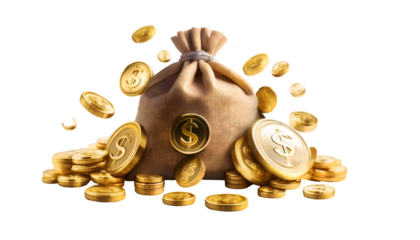 bag of money  transparent png business