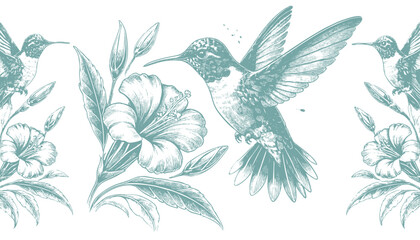 Fototapeta premium hummingbird vector | bird vector | hummingbird illustration | hummingbird silhouette | hummingbird tattoo | hummingbird engraving | hummingbird drawing