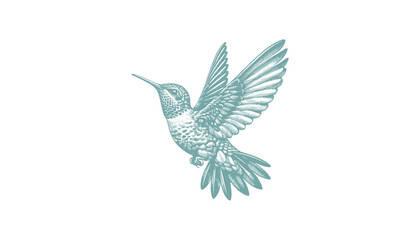 hummingbird vector | bird vector | hummingbird illustration | hummingbird silhouette | hummingbird tattoo | hummingbird engraving | hummingbird drawing