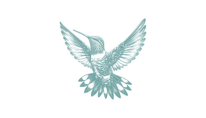 hummingbird vector | bird vector | hummingbird illustration | hummingbird silhouette | hummingbird tattoo | hummingbird engraving | hummingbird drawing