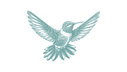 hummingbird vector | bird vector | hummingbird illustration | hummingbird silhouette | hummingbird tattoo | hummingbird engraving | hummingbird drawing