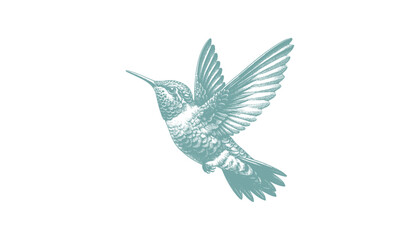 hummingbird vector | bird vector | hummingbird illustration | hummingbird silhouette | hummingbird tattoo | hummingbird engraving | hummingbird drawing