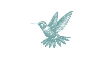hummingbird vector | bird vector | hummingbird illustration | hummingbird silhouette | hummingbird tattoo | hummingbird engraving | hummingbird drawing