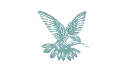 hummingbird vector | bird vector | hummingbird illustration | hummingbird silhouette | hummingbird tattoo | hummingbird engraving | hummingbird drawing