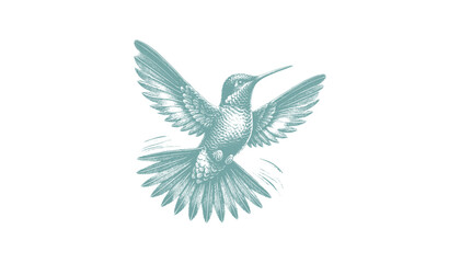 hummingbird vector | bird vector | hummingbird illustration | hummingbird silhouette | hummingbird tattoo | hummingbird engraving | hummingbird drawing