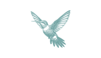 hummingbird vector | bird vector | hummingbird illustration | hummingbird silhouette | hummingbird tattoo | hummingbird engraving | hummingbird drawing