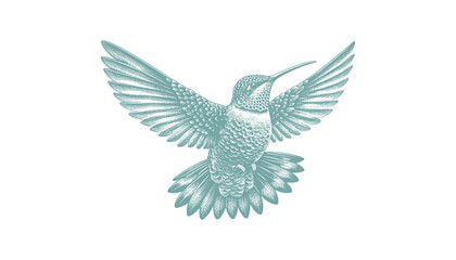 hummingbird vector | bird vector | hummingbird illustration | hummingbird silhouette | hummingbird tattoo | hummingbird engraving | hummingbird drawing