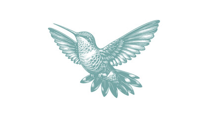Obraz premium hummingbird vector | bird vector | hummingbird illustration | hummingbird silhouette | hummingbird tattoo | hummingbird engraving | hummingbird drawing