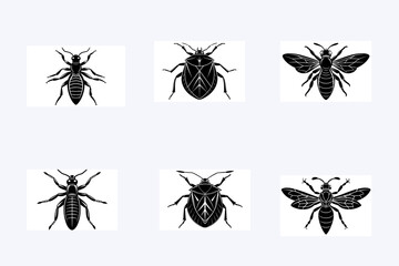 Create 6 Insect silhouette vector styles with a white background