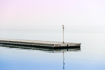 Serene dock with seagull under pastel sky