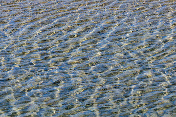 澄み切った水面の輝く波紋