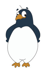Penguin isolated on white background