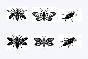 Create 6 Insect silhouette vector styles with a white background