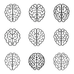 Human brain icon in line style. vector illustration