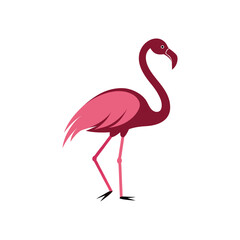 flamingo vector on a white background.eps